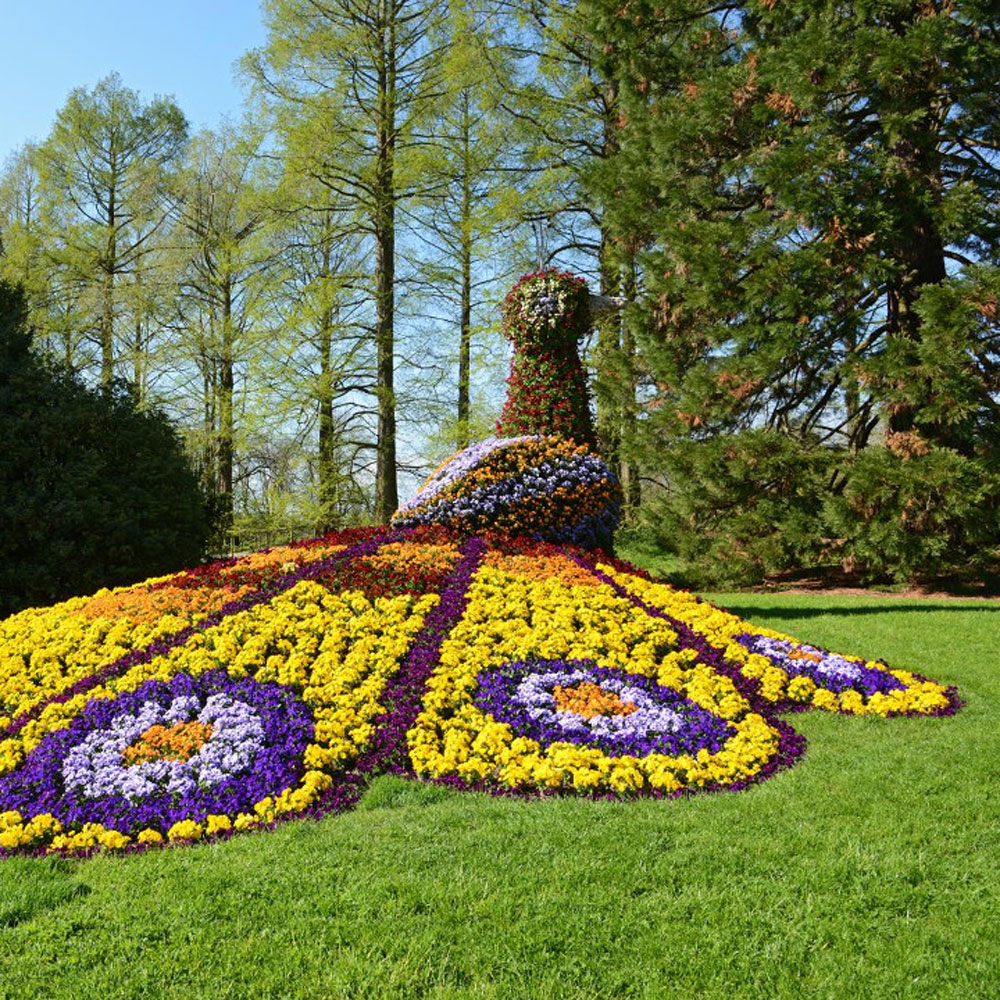 blumentier-pfau